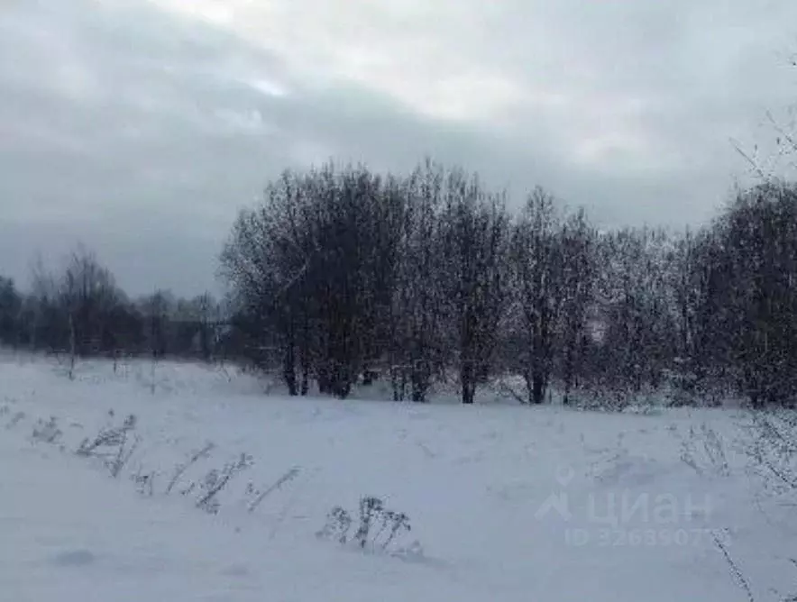Участок в Московская область, Дмитровский муниципальный округ, д. ... - Фото 1