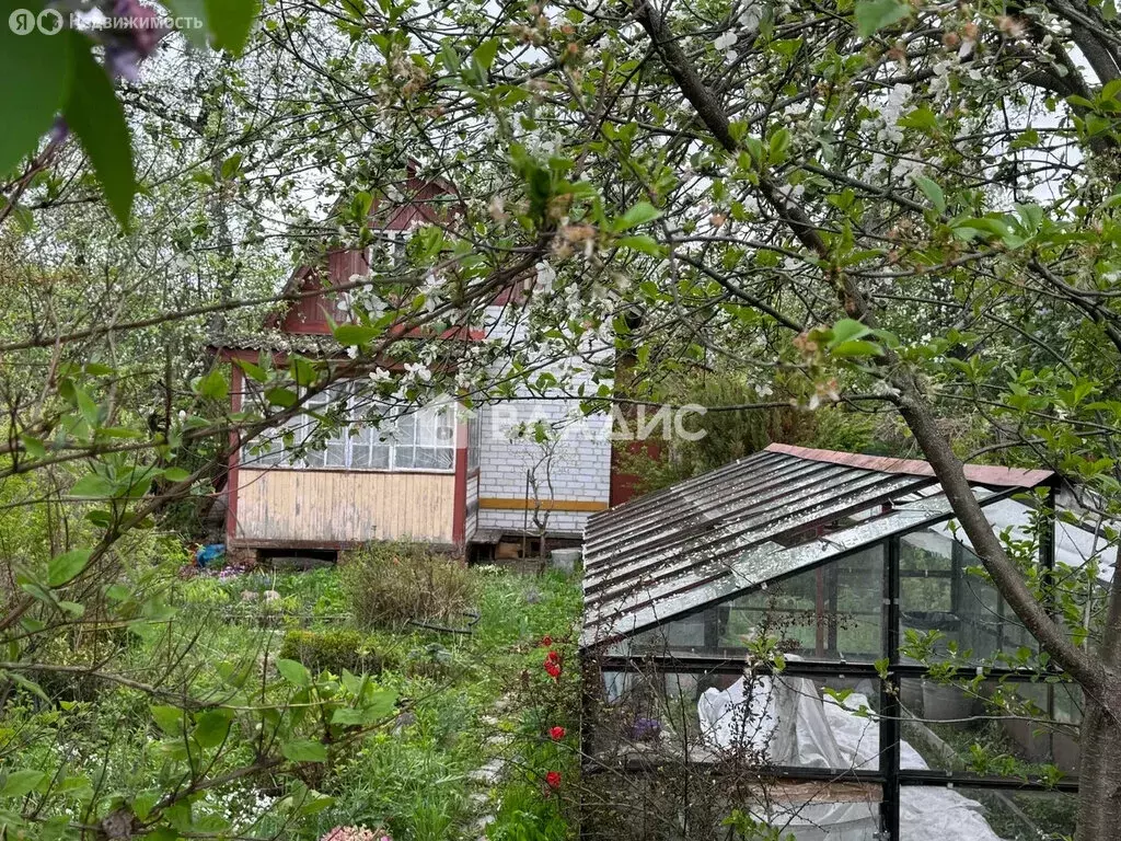 Дом в Брянск, садоводческое объединение Дормаш-1 (41.6 м) - Фото 1