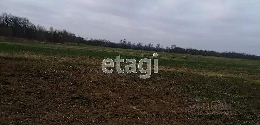 Участок в Калужская область, Перемышльский муниципальный округ, ... - Фото 1