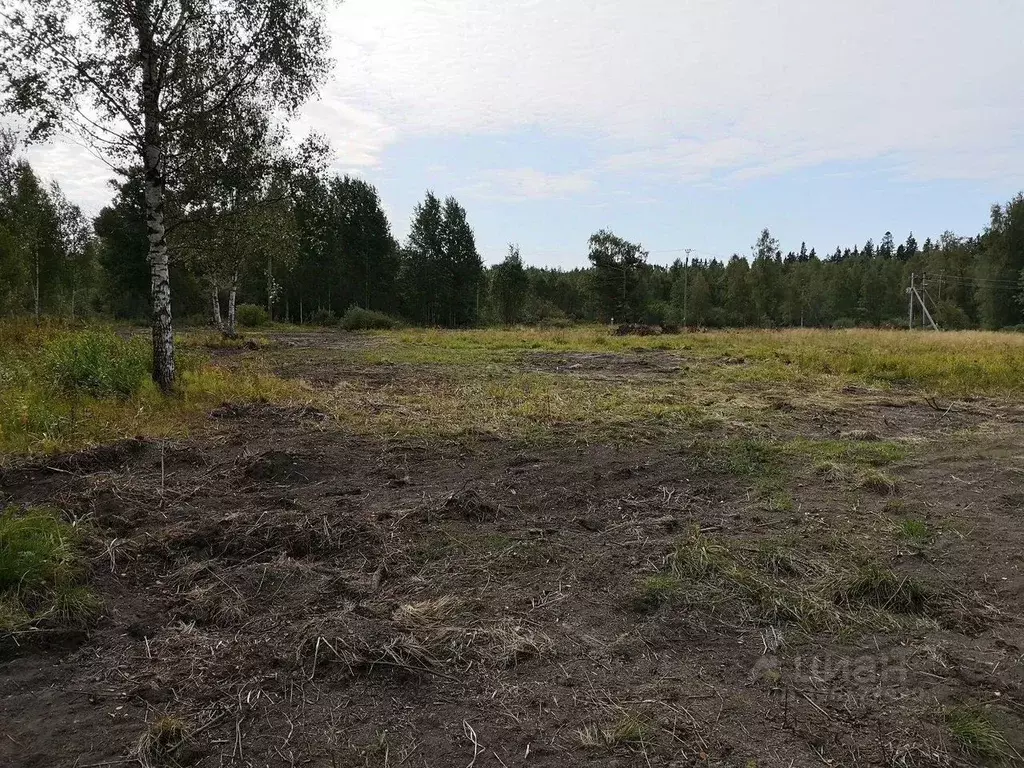 Участок в Ленинградская область, Выборгский район, Советское городское ... - Фото 2
