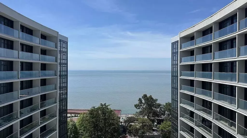 2-к кв. Краснодарский край, Сочи ул. Просвещения, 32 (48.8 м) - Фото 1