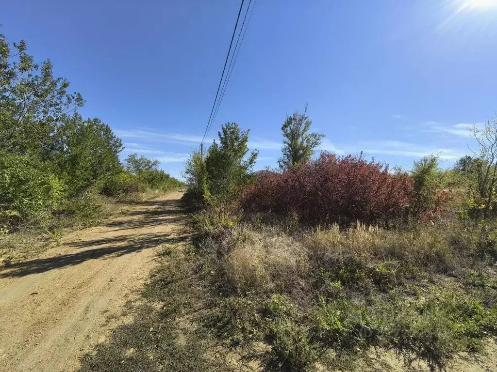 Участок в Ростовская область, Родионово-Несветайский район, ... - Фото 1