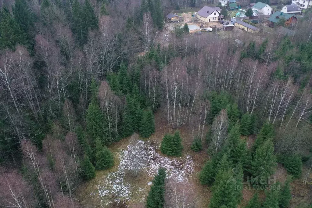 Участок в Московская область, Наро-Фоминский городской округ, д. ... - Фото 0