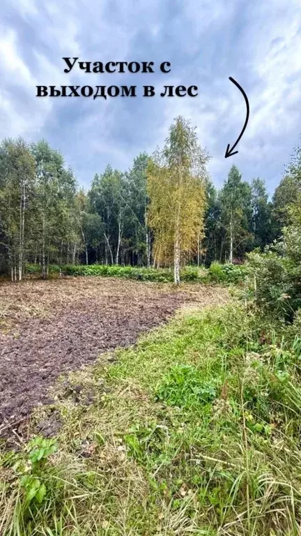 Участок в Тюменская область, Нижнетавдинский муниципальный округ, ... - Фото 1