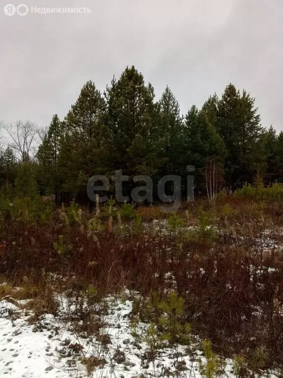 Участок в Талица, улица Луначарского (12.06 м) - Фото 1