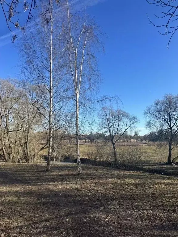 3-к кв. Санкт-Петербург просп. Ветеранов, 118К2 (62.0 м) - Фото 2