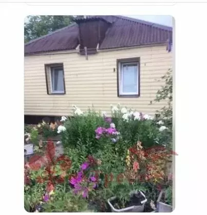 Дом в Белгородская область, Яковлевский муниципальный округ, село ... - Фото 2