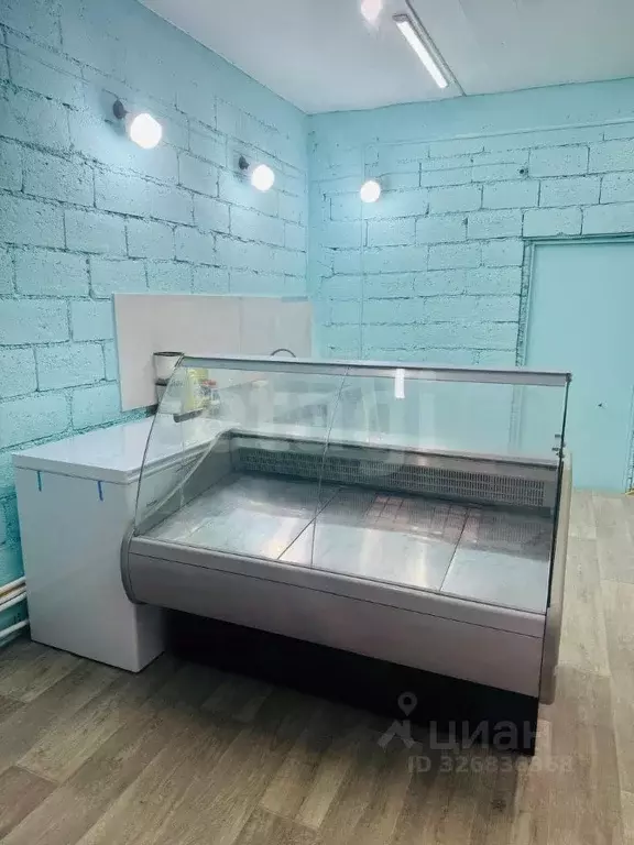 Помещение свободного назначения в Северная Осетия, Владикавказ ул. ... - Фото 1