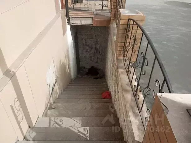 Помещение свободного назначения в Забайкальский край, Чита ул. Ленина, ... - Фото 2