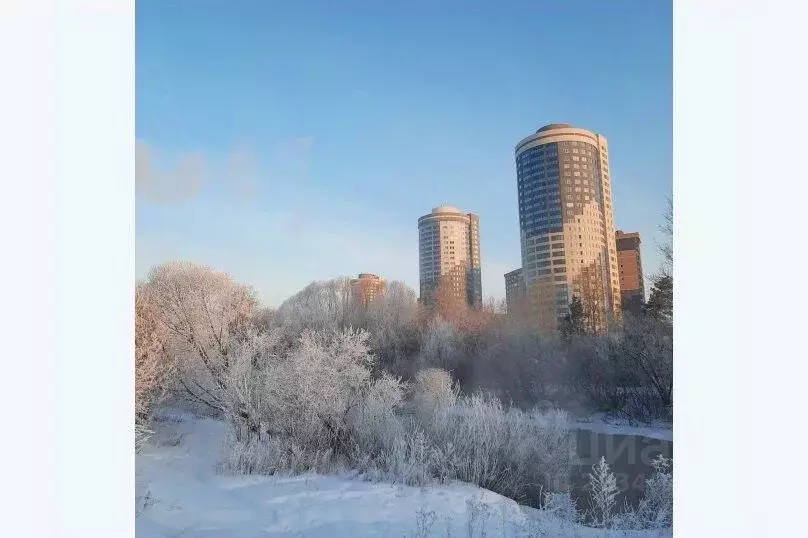 1-к кв. Свердловская область, Екатеринбург ул. Павлодарская, 1 (27.0 ... - Фото 1