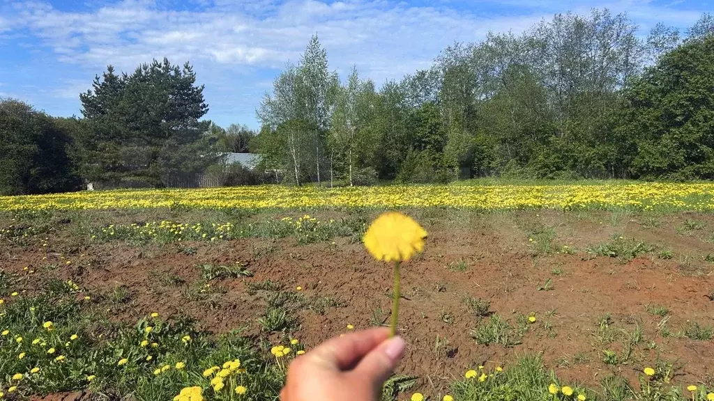 Участок 8 сот. (ИЖС) - Фото 0