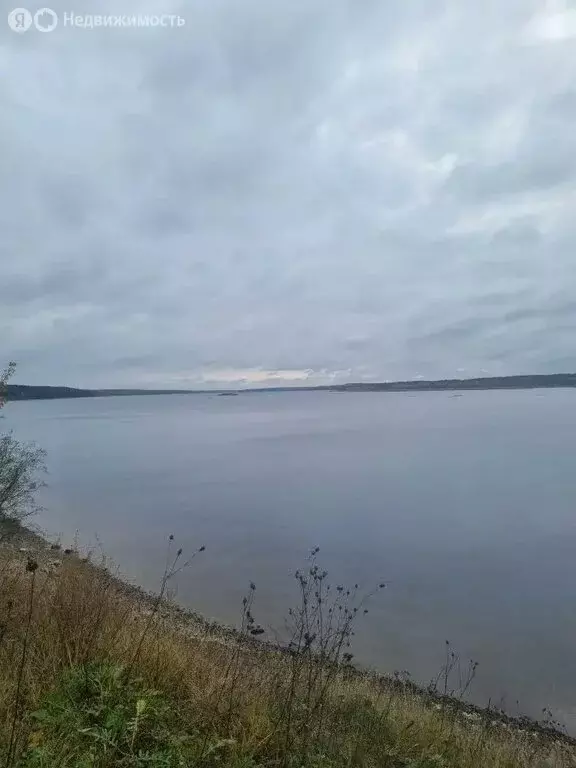 Участок в Ярославская область, Рыбинский муниципальный округ, деревня ... - Фото 1