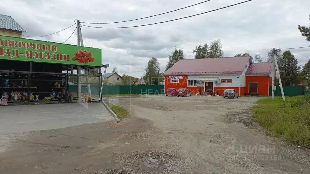Участок в Тюменская область, Нижнетавдинский муниципальный округ, ... - Фото 1