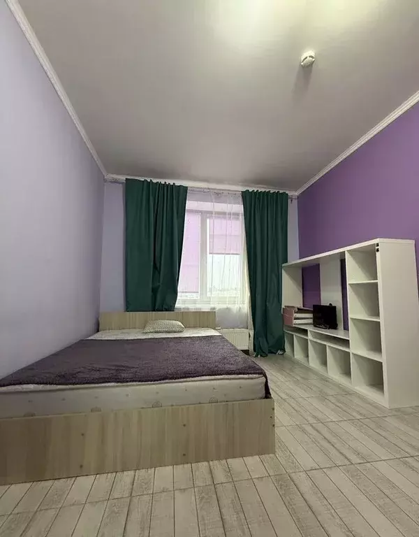 Студия Санкт-Петербург ул. Савушкина, 104 (31.0 м) - Фото 2