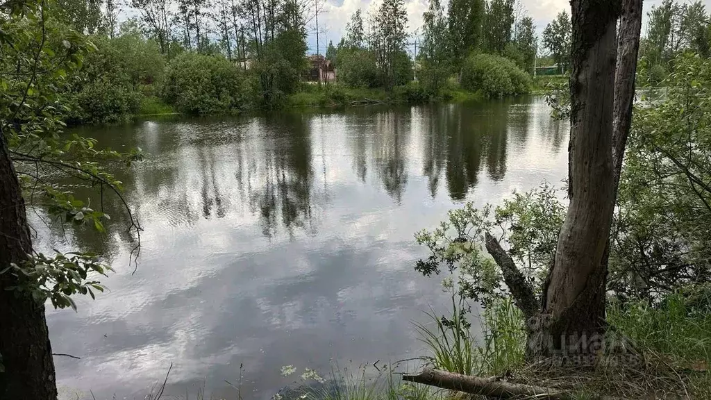 Участок в Московская область, Электросталь городской округ, д. Бабеево ... - Фото 1