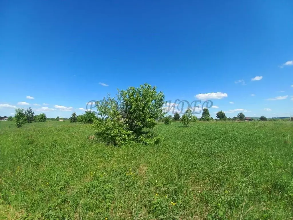 Участок в Алтай, Майминский район, с. Подгорное ул. Спортивная, 61 ... - Фото 2