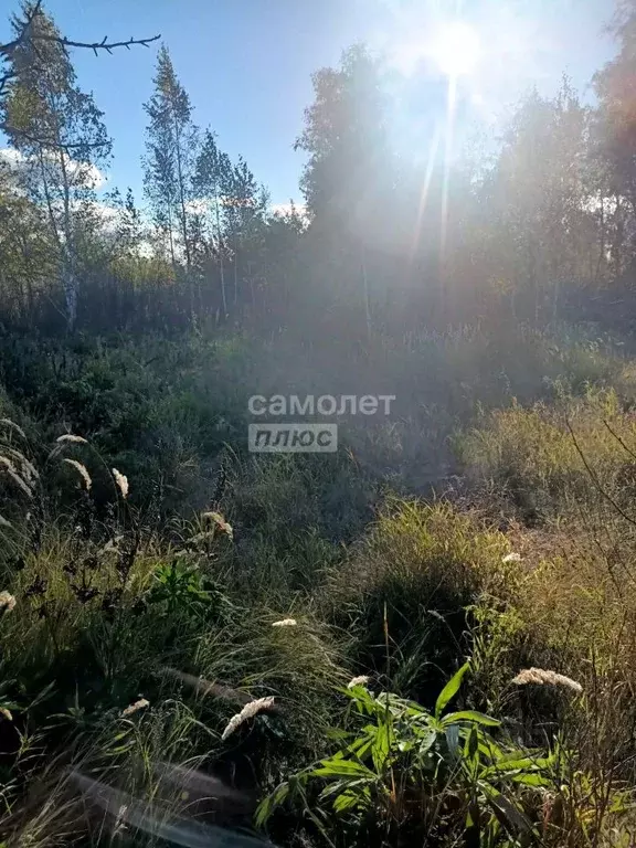 Участок в Челябинская область, Копейск Березка-4 СНТ,  (6.0 сот.) - Фото 1