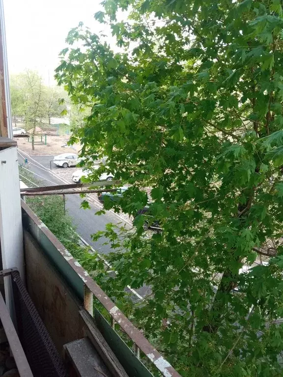 3-комнатная квартира: Саратов, Деловая улица, 19 (58.9 м) - Фото 0