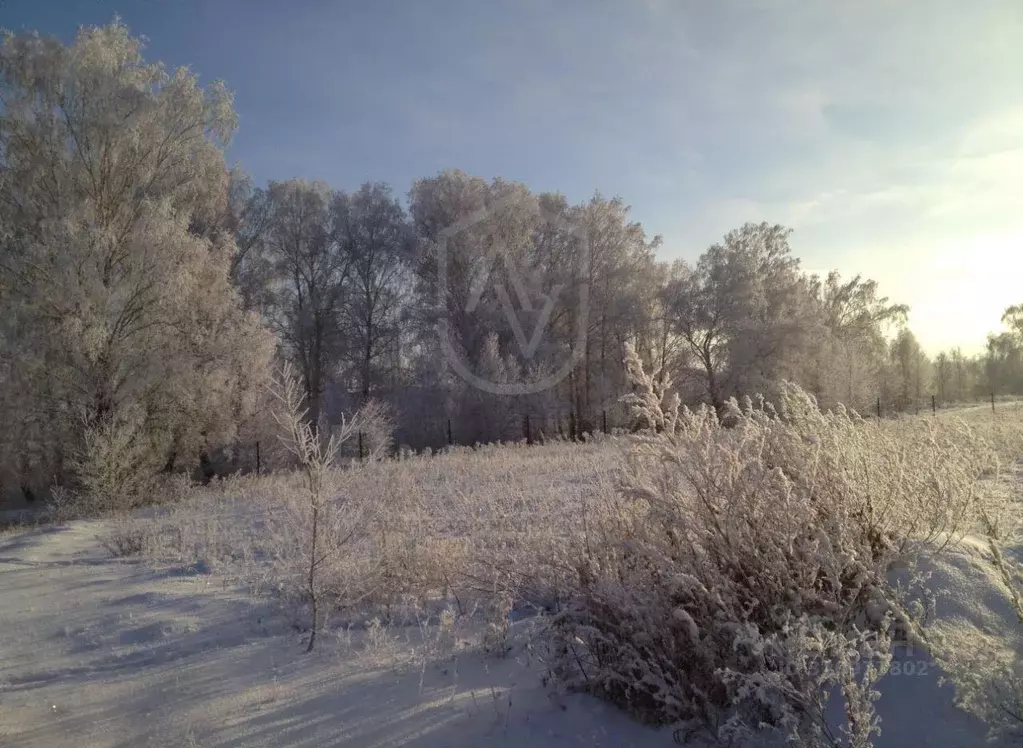 Участок, 9.7 сот., сельхоз (снт или днп) - Фото 0