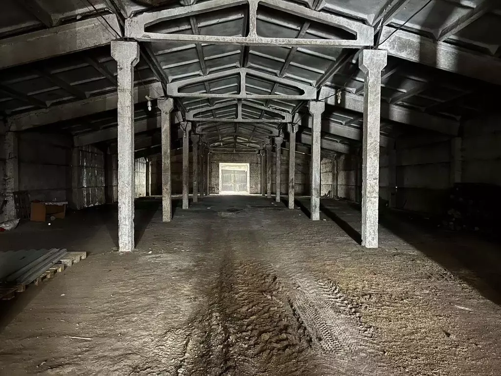 Помещение свободного назначения в Рязанская область, Рыбновский ... - Фото 1