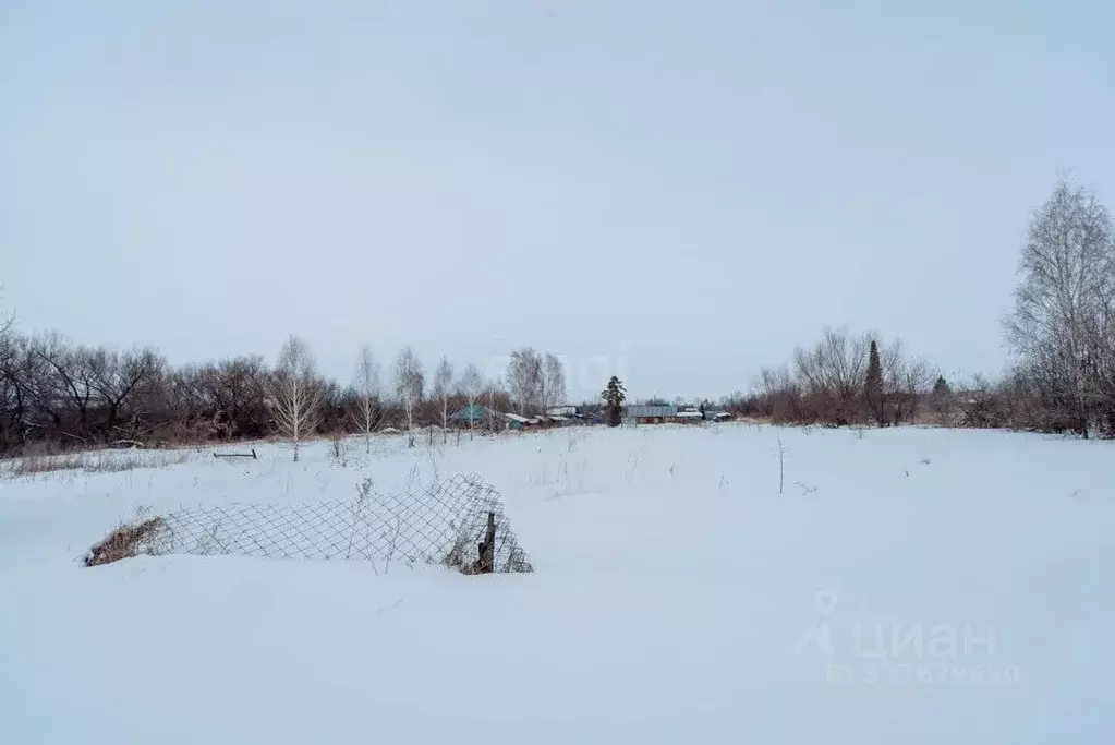 Участок в Алтайский край, Смоленский район, с. Новотырышкино Степная ... - Фото 1