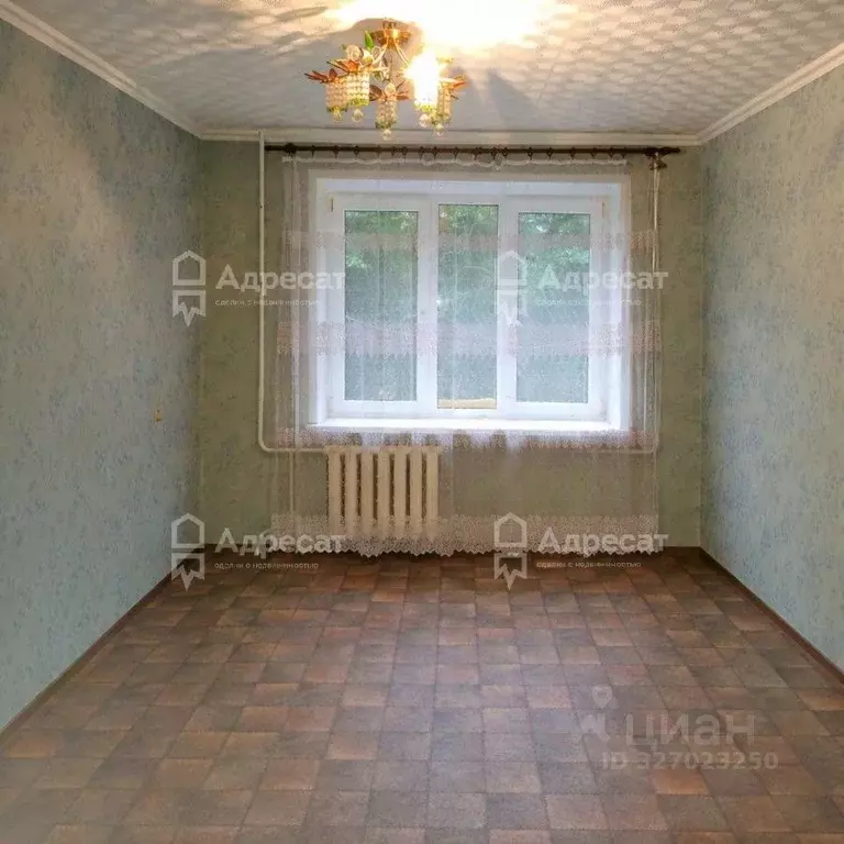 Комната Волгоградская область, Волгоград ул. Жолудева, 20А (17.0 м) - Фото 1