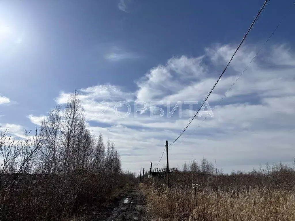 Участок в Тюменская область, Тюмень СОСН Березка-3 тер., ул. 15-я (6.0 ... - Фото 0