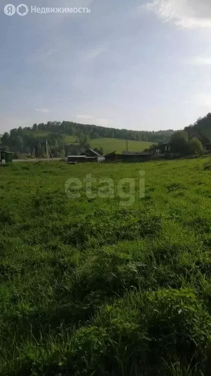 Участок в Чойский район, село Сугул, Поселковая улица (2500 м) - Фото 2