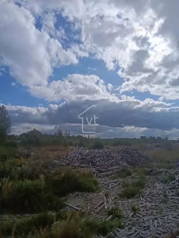 Участок в Владимирская область, Собинский муниципальный округ, с. ... - Фото 2