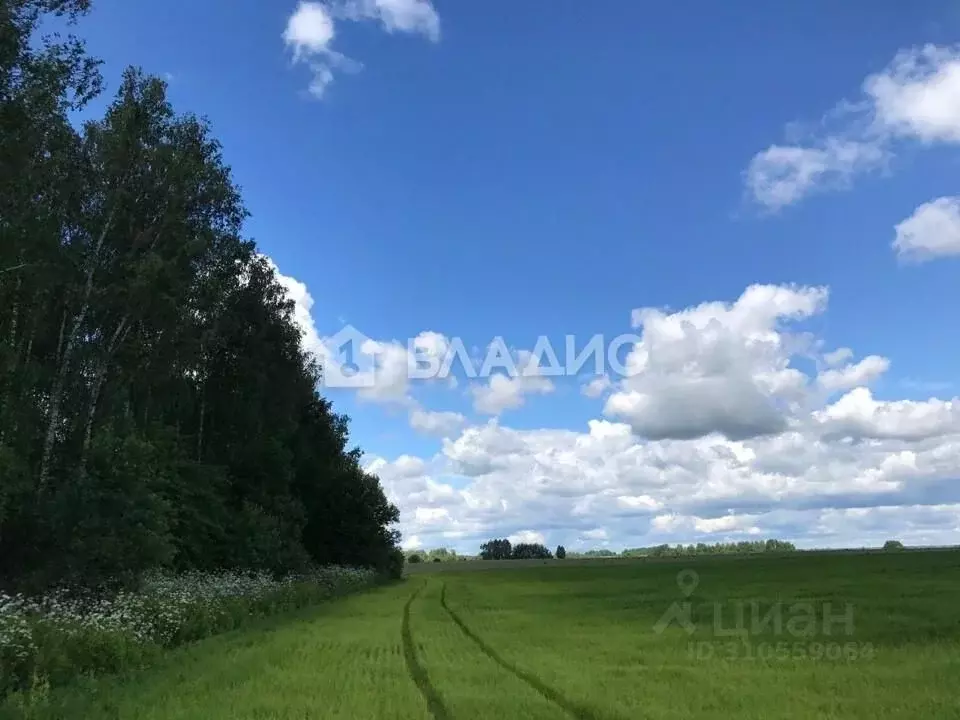 Участок в Владимирская область, Собинский муниципальный округ, с. ... - Фото 1