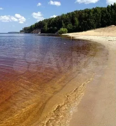 Участок 10 сот. (ИЖС) - Фото 1