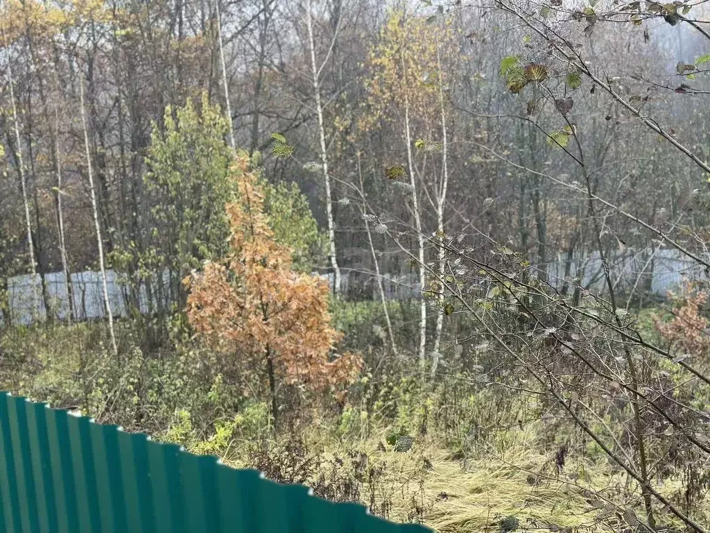 Участок в Московская область, Ленинский городской округ, Мисайлово пгт ... - Фото 1