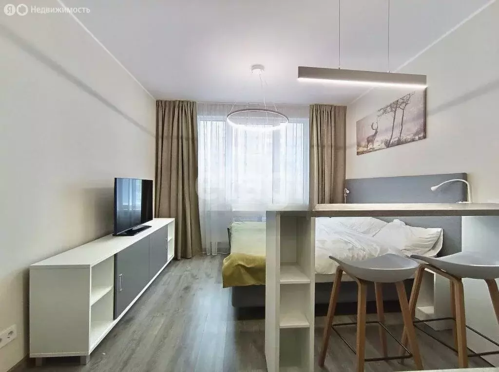 Квартира-студия: Санкт-Петербург, Витебский проспект, 99к1 (23.7 м) - Фото 0