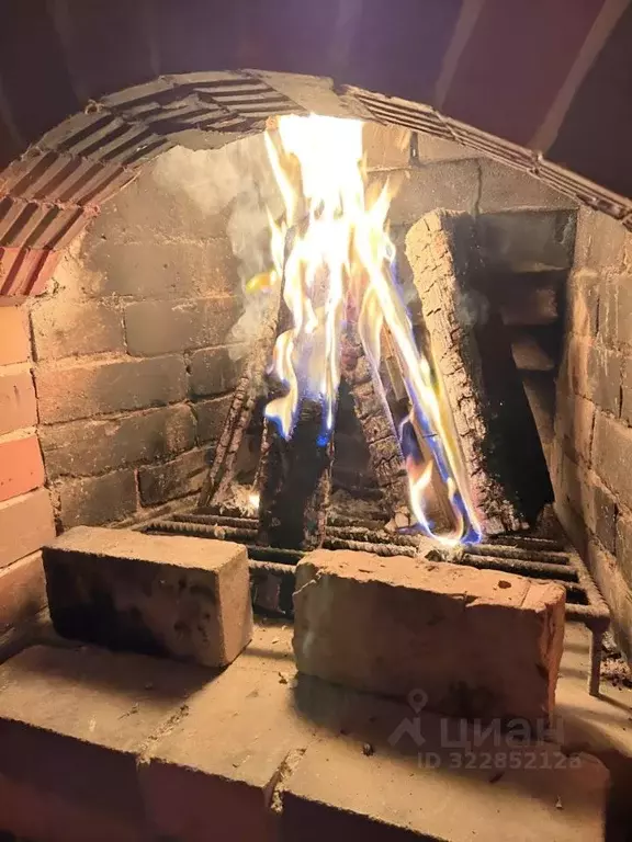 Дом в Новосибирская область, Новосибирский район, Мичуринский ... - Фото 1