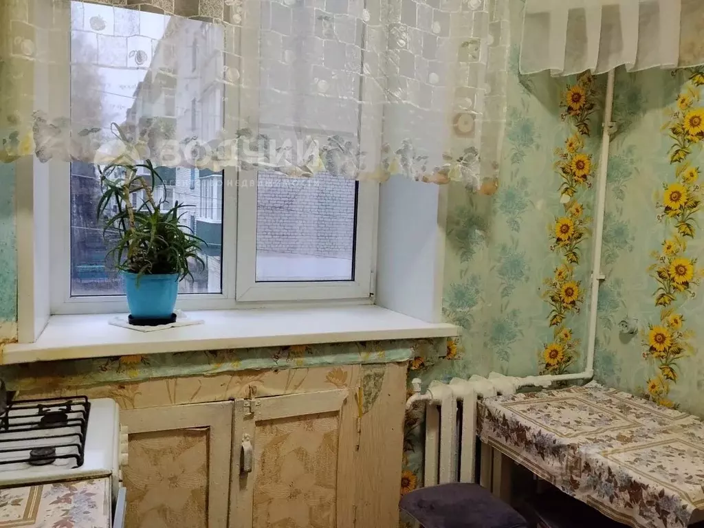 1-к кв. Чувашия, Шумерля Октябрьская ул., 6 (28.7 м) - Фото 2