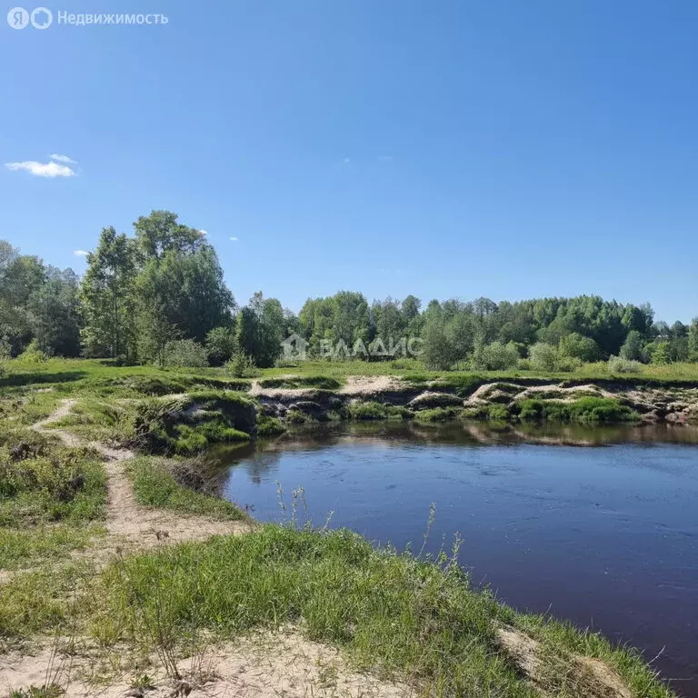 Участок в Судогодский район, муниципальное образование Лавровское, ... - Фото 1