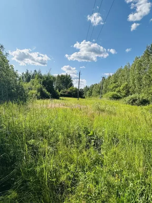 Участок в Московская область, Егорьевск муниципальный округ, д. ... - Фото 2