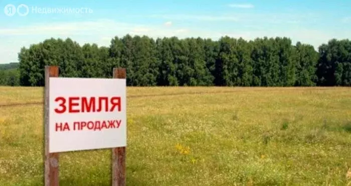 Участок в Пермский край, Осинский муниципальный округ, деревня ... - Фото 1