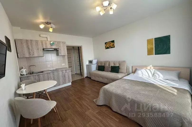 1-к кв. Новосибирская область, Новосибирск Сибирская ул., 42 (30.0 м) - Фото 1