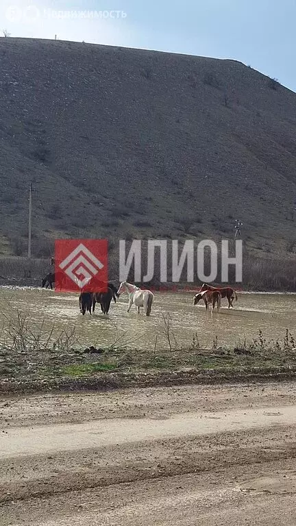 Участок в Солнечная Долина, Долинная улица, 12 (6 м) - Фото 2