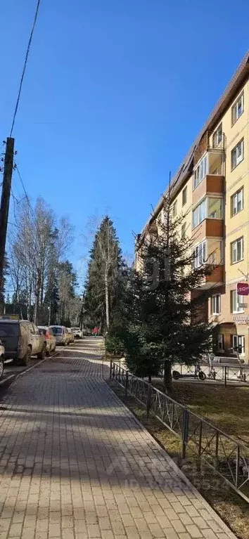 Помещение свободного назначения в Ленинградская область, Всеволожск ... - Фото 1