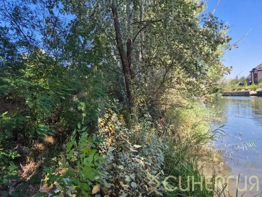 Участок в Ростовская область, Азовский район, Елизаветинское с/пос, ... - Фото 2