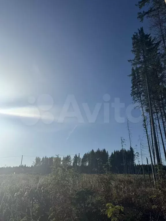 Участок 8,6 сот. (ИЖС) - Фото 0