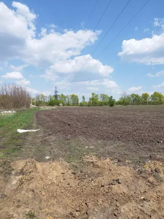 Участок в Воронежская область, Рамонский район, Горожанское с/пос, с. ... - Фото 2