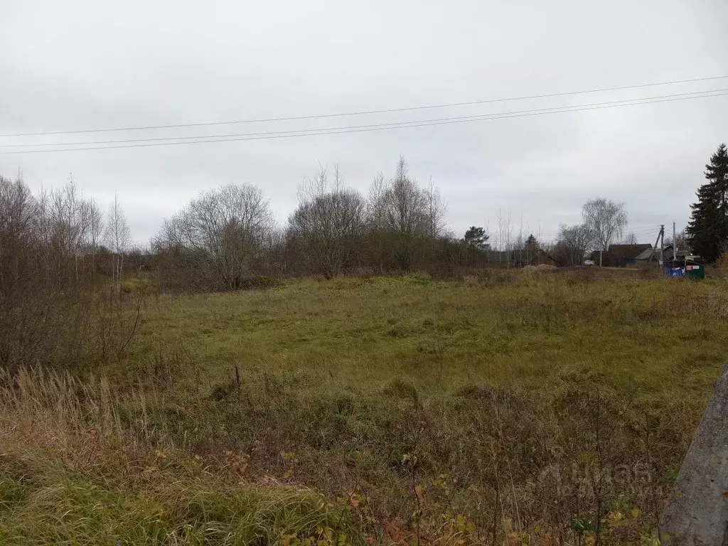 Участок в Псковская область, Псковский район, Логозовская волость, д. ... - Фото 1