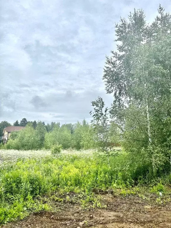 Участок, 8.5 сот., сельхоз (снт или днп) - Фото 1
