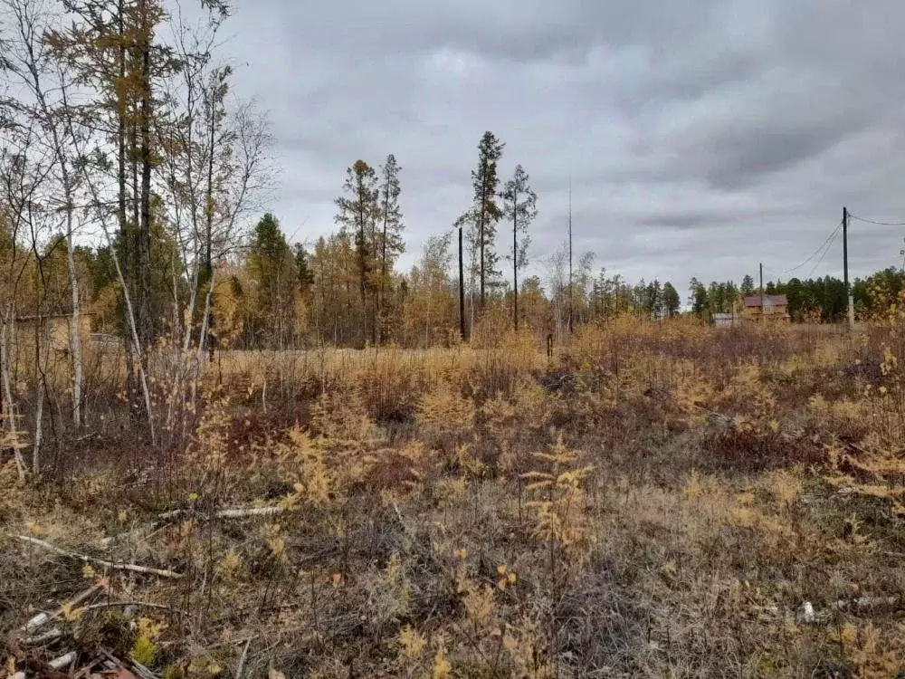 Участок в Саха (Якутия), Мегино-Кангаласский улус, Нижний Бестях пгт  ... - Фото 1