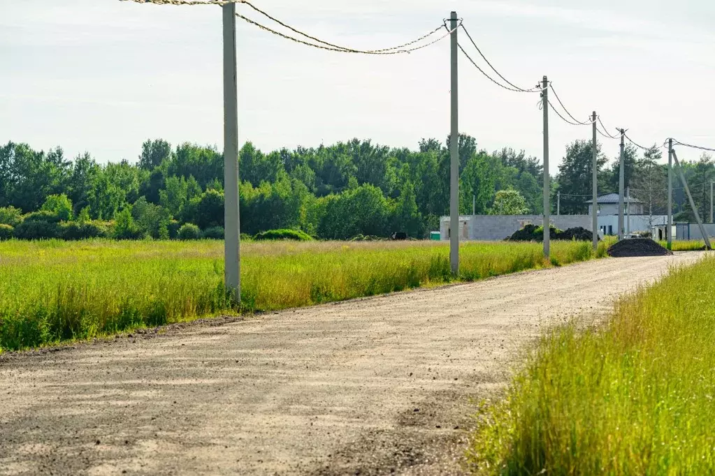 Участок в Санкт-Петербург пос. Левашово, 24 (12.34 сот.) - Фото 1