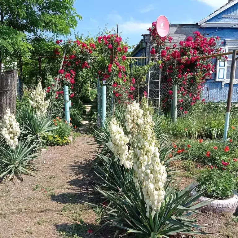 Дом в Ростовская область, Егорлыкский район, Новороговская ст-ца ... - Фото 2
