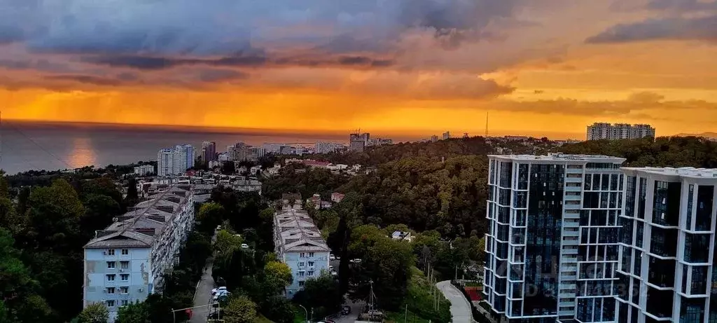 Студия Краснодарский край, Сочи Бытха мкр, ул. Ясногорская, 16/2к1 ... - Фото 1